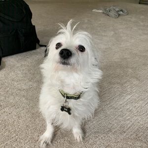 Meet your Posher, Kendall